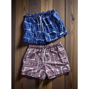 Pacsun Eco Bandana Block 4.5" Swim‎ Trunks Shorts Lined Large Navy Brown Lot